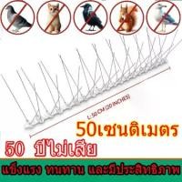 ราคา อุปกรณ์ไล่นก กันนกพิราบ ก้อนไล่นกพิราบ หนามไล่นก ที่กันนกพิราบ ที่ไล่นกพิราบ ไล่นก กันนกเกาะ Bird Spikes กำจัดนกพิราบ สแตนเลส กันนก (1731752113390847151)