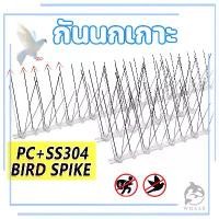 ราคา อุปกรณ์ไล่นก หนามไล่นก กันนกพิราบ ก้อนไล่นกพิราบ ที่กันนกพิราบ ที่ไล่นกพิราบ ไล่นก กันนกเกาะ Bird Spikes กำจัดนกพิราบ สแตนเลส กันนก (1731752398492173487)