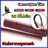 ราคา หนามไล่นก 43X4.5X3.7ซม. ไล่นกพิราบ ที่ดักนก กันนกพิราบ Bird Spikes กันนกเกาะ อุปกรณ์ไล่นกทำรัง ก้อนไล่นกพิราบ ที่ไล่นกพิราบ ไล่นก กันนกเกาะ กำจัดนก หนามกันนก หนามนก ไล่แมว หนามกันนกเกาะ (1731475826311