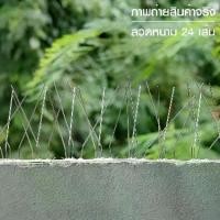 ราคา หนามกันนก ฐาน Stainless ความยาว 50 cm แบบ 24 เส้น Bird Spike หนามไล่นก (x12ชิ้น) (1730651952214214986)