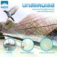 ราคา หนามไล่นก ไล่นกพิราบ ที่ดักนก กันนกพิราบ,แดด ฝน,50ซม หนาม20คู่,กันนกเกาะ อุปกรณ์ไล่นกทำรัง ทนทาน Bird Spikes,304 Stainless (1731696182617474360)