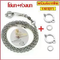 ราคา ชงเปิดนก นกแก้ว bird ค๊อกคาเทล กรีนชีค กรง นก อาหาร นก ขอบสนาม (1730039851247831880)