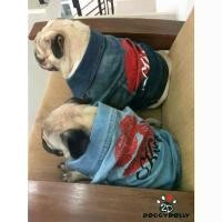 ราคา Fat dog -Pet cloths-Doggydolly เสื้อยีนส ชุดหมาอ้วน เฟร้น ปั๊ก บีเกิ้ล บลูด็อก เสื้อผ้าสุนัข เสื้อหมา หมาอวบ FP-DJ034 (1729839957320370538)