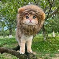 ราคา หมวกสัตว์เลี้ยง สไตล์ดาราอินเทอร์เน็ต สำหรับแมวและสุนัข มีที่คาดผมหัวสิงโต หูกระต่าย กบ และหมี หมวกตลก หมวกแต่งตัว (1731739035359938905)