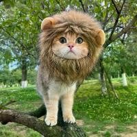 ราคา หมวกสัตว์เลี้ยง, อินเทอร์เน็ตคนดัง, หมวกสิงโตแมว, หูกระต่าย, กบ, หมี, ผ้าโพกศีรษะตลก, แต่งตัว, ขายส่ง (1732581293279970680)