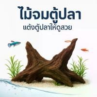 ราคา [อุปกรณ์ตู้ปลา] ไม้จมตู้ปลา กิ่งไม้ธรรมชาติ ขนาดใหญ่ ตกแต่งตู้ปลา DIY เพิ่มความสวยงาม ตกแต่งภูมิทัศน์ขนาดเล็ก สร้างสรรค์ Aquarium Decor ของตกแต่งตู้ปลา (1732583347457132443)