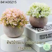ราคา ต้นไม้ปลอมพร้อมกระถางกลมปูน หญ้า Fake ต้นไม้ประดิษฐ์ ของแต่งบ้าน 13x13cm (1732154355728090526)