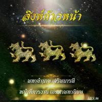 ราคา ของแต่งบ้าน รถ สิงห์มหาอำนาจ ราคาส่ง (1729664695925377135)