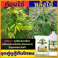 ราคา MarketofMorsels คุณภาพรับประกันได้ ขายดีคุ่หูกูต้นโทรมแก้ใบเหลืองปรับสภาพดิน พลอยเกษตร ยา ฆ่า หญ้า บุชเชอร์ ยาทา มอน ไอบูโพรเฟน (1730742672421063263)