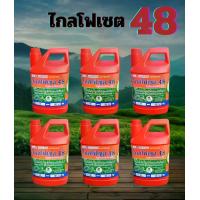 ราคา ไกลโฟเซต 48 ชนิดดูดซึมทนฝน ยกลัง 6 แกลลอน ขนาด 4 ลิตร (แกลลอนแดง) ยา ฆ่า (1731423591523256120)