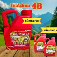 ราคา ยา ฆ่า หญ้า ชนิดดูดซึมทั้งฝน ไกลแดง48 ประสิทธิภาพสูง ขนาด4ลิตร(แดงเหลี่ยม) (1731445956354345268)