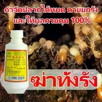 ราคา ได้ผล100% กำจัดปลวกตายยกรัง ยากำจัดปลวก เหยื่อปลวก กำจัด ปลวก เหยื่อกำจัดปลวก ยาปลวก อาหารปลวก ฆ่าปลวกตายยกรัง ยา ฆ่าปลวก สเปรย์ (1732644191052858607)