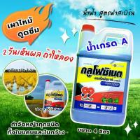 ราคา กลูโฟ โฟซิเนต 99 ยา กำจัดวัชพืช ขนาด 4 ลิตร (1731640671589206989)