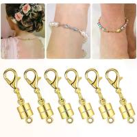 ราคา เข็มกลัดสร้อยคอแม่เหล็ก, 6/12 ชิ้น, การทำเครื่องประดับ DIY, ตัวขยายสร้อยคอ, เข็มกลัดสร้อยข้อมือ, ทำจากทองเหลือง, เข็มกลัดกุ้งก้ามกราม, เหมาะสำหรับผู้สูงอายุ, เครื่องมือช่วย (1731520001901823232)