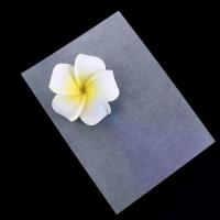 ราคา พวงกุญแจ, ชุด 5, วัสดุโรงเรียน, ฟิล์มหด, การทำเครื่องประดับ DIY, ศิลปะหดแผ่น, กระดาษหดความร้อน, แผ่นพลาสติกหด, กระดาษหดความร้อน, แผ่นฟิล์มหด (1732343142747964969)