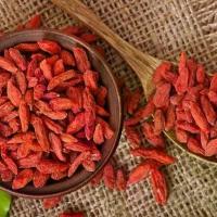 ราคา เก๋ากี้ (โกจิเบอร์รี่) เกรด A อบแห้งพร้อมทาน ขนาด 1 กิโลกรัม เม็ดเล็ก Goji Berries ผลไม้อบแห้ง มีบริการเก็บปลายทาง (1732194689006864099)