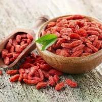 ราคา เก๋ากี้ โกจิเบอร์รี่ เก๋ากี้แดง เก๋ากี้อบแห้งเม็ดใหญ่ โกจิเบอรี่อบแห้ง ผลไม้อบแห้ง ขนาดบรรจุ (100 กรัม) (1731936043624072926)