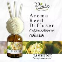 ราคา กลิ่นหอม Pinto Natural Aromatic Reed Diffuser ก้านไม้หอมปรับอากาศ กลิ่นมะลิสด Fresh Jasmine ขนาด 50ml. และ 100ml. สเปรย์ปรับอากาศ (1732523443360335157)