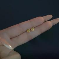 ราคา 【HOT】ต่างหูดาวหกแฉกเพชรระยิบ ลายฉลุหรูเล็ก K-Style ลด 75% แค่ 88.-! ต่างหู เครื่องประดับผู้หญิง ดาวหกแฉก เครื่องประดับลายฉลุ เพชรเทียม สไตล์เกาหลี เครื่องประดับ2025 ลดแรง TikTo (1731771733613184632)