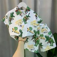 ราคา ชุดเสื้อเชิ้ตแขนสั้นสำหรับเด็กผู้ชาย มาใหม่ ขายดี สไตล์ใหม่ 24 เสื้อผ้าฤดูร้อนสำหรับเด็ก 4 ตัว เสื้อผ้าแนวสตรีท เหมาะสำหรับเด็กอายุ 5 ขวบ เท่ เทรนด์แฟชั่นสองชิ้น อินเทอร์เน็ตคนดัง (1731265304280336140