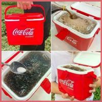 ราคา hyperpshop ปัจจุบัน กระติกน้ำแข็ง กระติกโค้ก กระบอกโค้ก แก้วโค้ก Coca Cola เก็บความเย็น พรีเมี่ยมของแท้ ขนาด 2 ลิตร, 3 4 ลิตร (1730365300241696970)