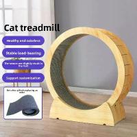 ราคา ลู่วิ่งแมว, ลูกกลิ้งเงียบสำหรับสัตว์เลี้ยง, กระดานใย, ล้อวิ่งสุนัขออกกำลังกายฟิตเนส, โครงปีนเขาสำหรับแมว, ล้อหมุน, เหมาะสำหรับแมว, ลู่วิ่ง (1732361894613714656)