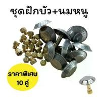 ราคา หัวฝักบัวนมหนูเตาแก๊สปิคนิค สำหรับเตาแก๊สปิคนิค4กก. อะไหล่เตาแก๊สปิคนิค 10 คู่ (1732488682916250883)