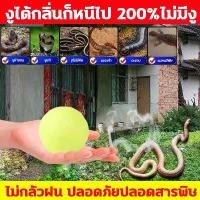 ราคา 20ปีไม่มีงูผงกำมะถันไล่งู ติดทนนาน ผงไล่งู กำมะถันผง SULFUR POWDER ไม่กลัวฝน ติดทนนาน กำมะถัน เครื่องไล่งู ไล่งู ไล่แมลง สารไล่งู ยากันงู ป้องกันงูอย่างมีป ระสิทธิภาพ สำหรับบ้าน (1732283994206602311)