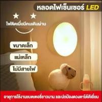 ราคา CODจัดไฟเซ็นเซอร์ ไฟเซ็นเซอร์อัตโนมัติ ไฟกลางคืน ไฟไร้สาย ไฟ LED หลอดไฟอัจฉริยะ ทรงกลม แสงขาว แสงวอร์มชาร์จไฟUSB (1732406870673688414)