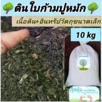 ราคา 10 kg ดินใบก้ามปูหมัก ดินปลูกต้นไม้ อุดมไปด้วยธาตุอาหาร (1731359289694259617)