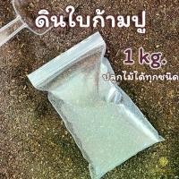 ราคา ดินหมักใบก้ามปู ร่อนละเอียด ดินพร้อมปลูก ดินใบก้ามปูหมัก ดินปลูกต้นไม้ ดินแคคตัส ดินปลูกบอนสี ดินปลูกไม้ด่าง (1729690075753057214)