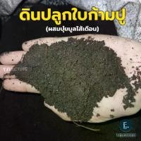 ราคา ดินผสมใบก้ามปู 900g. (ผสมปุ๋ยมูลไส้เดือน) ดินปลูกต้นไม้ ดินผสมละเอียด ดินมูลไส้เดือน ธาตุอาหารสูง (1731794600323221928)