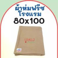 ราคา ผ้าห่มฟลีชเนื้อโรงแรม ผ้าห่มสำลี ผ้าห่มรีสอร์ท Big Cat บิ๊กแคท สีพื้น น้ำตาล ขนาด 80x100 ราคาถูก (1731971061220803611)