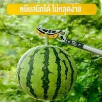 ราคา ของแท้ กรรไกรตัด-หนีบผลไม้ ยาว1.5-2เมตร กรรไกรตัดหนีบผลไม้ด้ามยาว กรรไกร กรรไกรตัดกิ่ง กรรไกรหนีบกิ่งไม้ กรรไกรแต่งกิ่งไม้ ตัดกิ่งไม้ กรร (1729687090564991425)