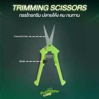 ราคา กรรไกรตัดแต่งทรงผม ปลายโค้ง กรรไกรตัดแต่งกิ่ง กรรไกร (1731745036879431516)