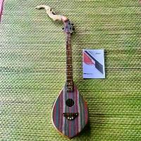 ราคา พิณโปร่งไฟ้า3สาย ขนาดมาตรฐาน ลายผ้าขาวม้า (1732433267286050734)