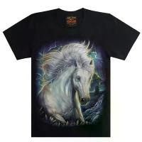 ราคา เสื้อยืดแขนสั้นพิมพ์ลายยูนิคอร์นอินเทรนด์ สไตล์สตรีทพาคู่ พลัสไซส์ ลำลอง HD เรืองแสงในที่มืด ประเทศไทย (1732529239928178176)
