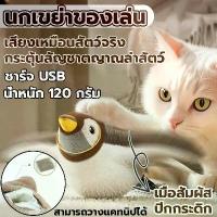 ราคา ของเล่นแมว ของแมว นกจำลอง ตุ๊กตาพูดได้ เพื่อนสัตว์เลี้ยง ชาร์จ USB ตุ๊กตาผ้ากำมะหยี่ ของเล่นหมา (1732312034098906782)