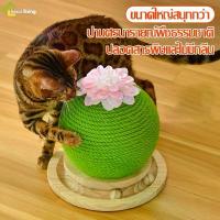 ราคา Harmcat รางบอลไม้ พร้อมที่ลับเล็บ ของเล่นแมว ลับเล็บแมว รางบอลแมว ที่ฝนเล็บแมว ทรงกลม ดอกไม้ (1732317303923443110)