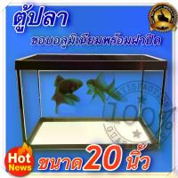 ราคา COD ตู้ปลา ตู้กระดิ่งเงิน กระดิ่งทอง ตู้โชว์ ตู้กระจก ขอบอลูมิเนียม พร้อมฝาปิด ขนาด 20 นิ้ว (1731918610789599220)