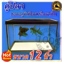 ราคา [จัดส่งทันที] ตู้ปลา ตู้กระดิ่งเงิน กระดิ่งทอง ตู้โชว์ ตู้กระจก ขอบอลูมิเนียม พร้อมฝาปิด ขนาด 12 นิ้ว (1732487798351038205)