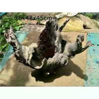 ราคา COD ตอไม้เก่า ไม้เต็ง ตกแต่งบ้าน สวน ตู้ปลา กระต่าย งู นก หนู (1732388004536485636)