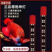 ราคา โคมไฟความงาม, เพิ่มความสวยงาม, สำหรับปลาทองและแดง, พิเศษสำหรับนกแก้ว, ลาน Shou, Luohan, กันน้ำดำน้ำ LED ตู้ปลา, สีหลักสามหลอดไฟ T5, [COD] (1732477981431858258)