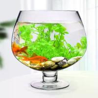 ราคา ถ้วยฮีโร่ขนาดใหญ่ แก้วไวน์ความจุขนาดใหญ่ ตู้ปลา ภาชนะใส่ถังโค้กขนาดใหญ่ แก้วเบียร์ขนาดใหญ่ แก้วไวน์ขนาดใหญ่ (1730130957238044759)