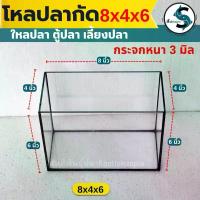 ราคา โหลปลากัด 8x4x6นิ้ว กระจกหนา 3 มิลลิเมตร เหลี่ยมปลากัด โหลปลา ตุ้ปลากัด ตู้ปลา (1ใบ) (1732754359423829099)