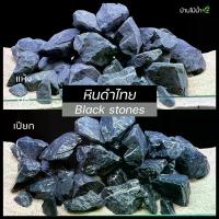 ราคา [COD] หินดำ Black Stone หินสีดำ หินตกแต่งตู้ไม้น้ำ หินตกแต่งตู้ปลา หินจัดสวน ตู้ปลา ตู้ไม้น้ำ เทอร์ราเรียม| บ้านไม้น้ำ (1732776358702712601)
