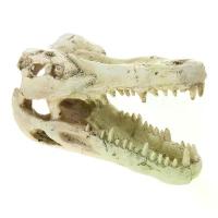 ราคา ตกแต่งตู้ปลาเรซิ่น กะโหลกจระเข้ เครื่องประดับตู้ปลา ถ้ำ ตู้ปลา Hideo (1729839895148202540)