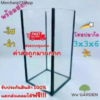 ราคา ✣โหลปลากัดขนาด 3x3x6 3x3x7 นิ้ว ตู้ปลา ตู้ปลาขนาดเล็ก ปลากัด❖ (1731557642227713641)
