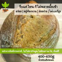 ราคา ซาวโดว์โฮลวีท ขนมปังซาวโด ขนมปัง sourdough bread ขนมปังโฮลวีท ยีสต์ธรรมชาติ ไม่มีสารกันบูดและน้ำตาล (1732789208260969950)
