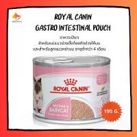 ราคา divideShop122 ใช้งานได้ Royal Canin BabyCat 195 g x 12 can อาหารแมวแบบเปียกสำหรับลูกแมวและแม่แมวตั้งท้องหรือให้นมลูกแมว195กรัม x 12กระป๋อง (1731164861586115367)